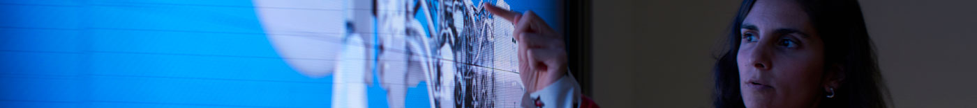 Bild zu Senior Stress Engineer